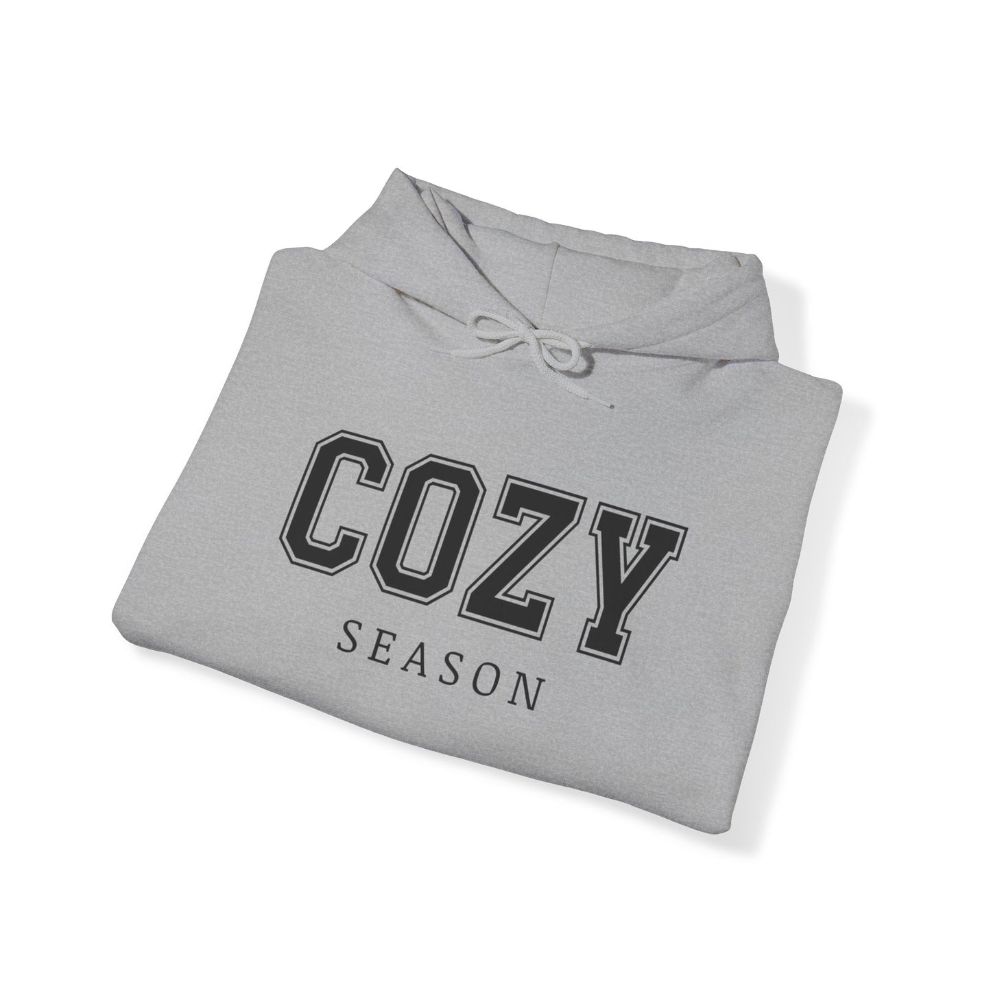 Cozy Season Hooded Sweatshirt, Freezin Season hoodie, Sweater Weather Sweatshirt, Women's hoodie, Unisex Sweatshirts, Women's Sweatshirt