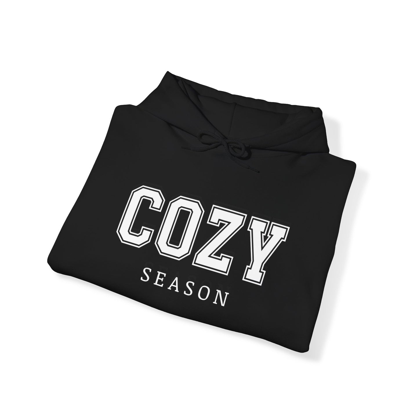 Cozy Season Hooded Sweatshirt, Freezin Season hoodie, Sweater Weather Sweatshirt, Women's hoodie, Unisex Sweatshirts, Women's Sweatshirt