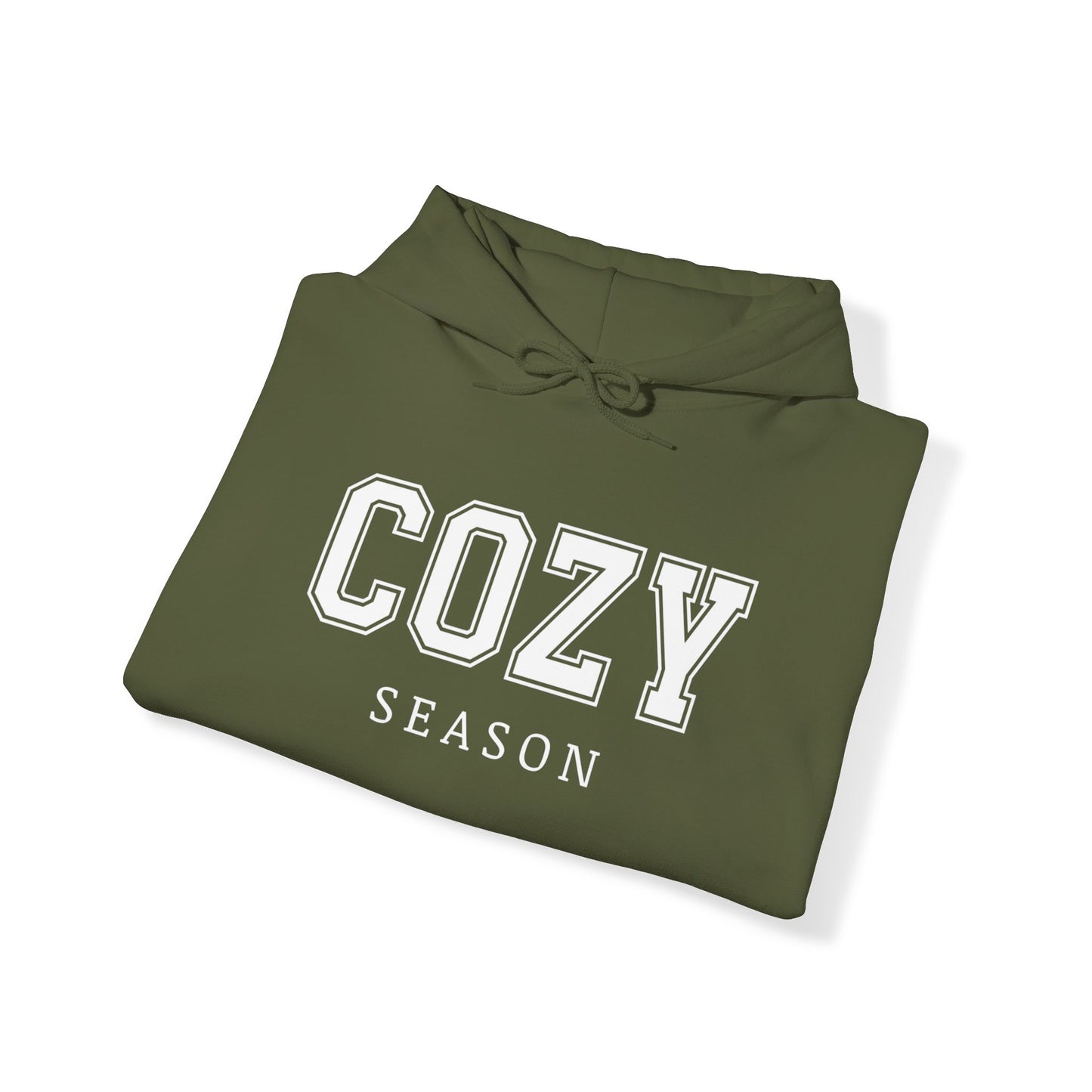 Cozy Season Hooded Sweatshirt, Freezin Season hoodie, Sweater Weather Sweatshirt, Women's hoodie, Unisex Sweatshirts, Women's Sweatshirt