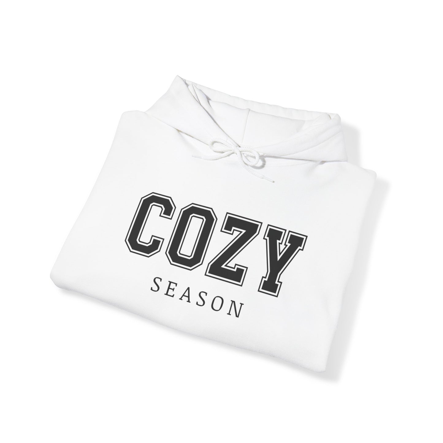 Cozy Season Hooded Sweatshirt, Freezin Season hoodie, Sweater Weather Sweatshirt, Women's hoodie, Unisex Sweatshirts, Women's Sweatshirt